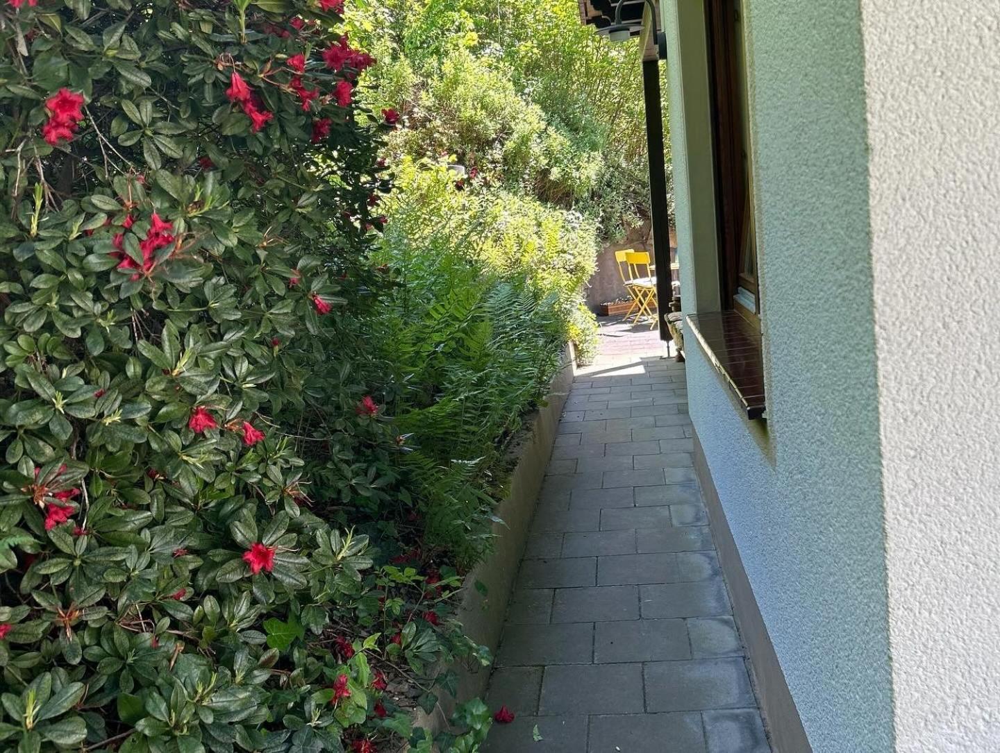 Ferienwohnung Sonneck Altenahr Buitenkant foto